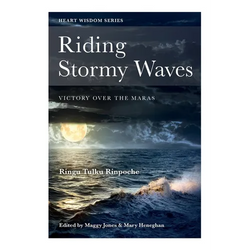 Riding Stormy Waves: Victory over the Maras - Paperback | Books | Wiccan Center