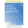 Does the Soul Survive? (2nd Edition): A Jewish Journey to Belief in Afterlife, Past Lives & Living with Purpose - Paperback | Books | Wiccan Center