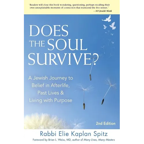 Does the Soul Survive? (2nd Edition): A Jewish Journey to Belief in Afterlife, Past Lives & Living with Purpose - Paperback | Books | Wiccan Center