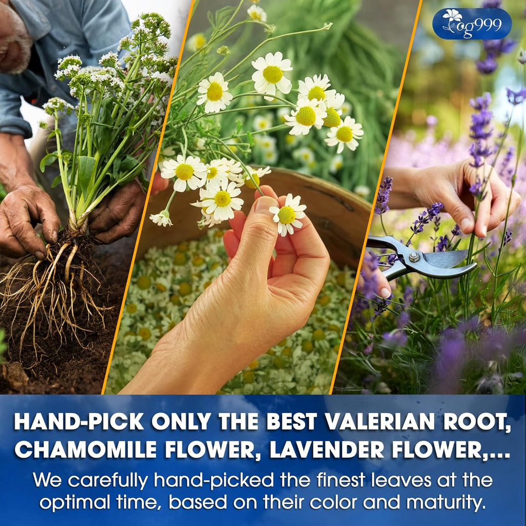 Premium Valerian Tea, Made From Valerian Root, Chamomile flower, Lavender flower Loose Leaf Herbal Tea. Made with Natural Material Tea Bags. No Sugar, No Caffeine, No Gluten, Vegan. | Tea | Wiccan Center
