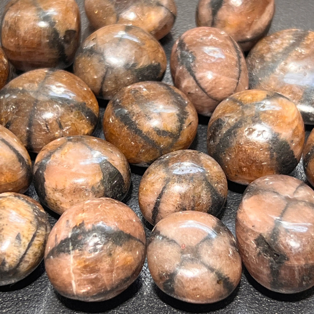Extra Quality Premium Chiastolite Tumbled Stones (By The Piece or Pound)(Fairy Cross Stone) | Home & Living > Home Decor > Home Accents > Rocks & Geodes | Wiccan Center
