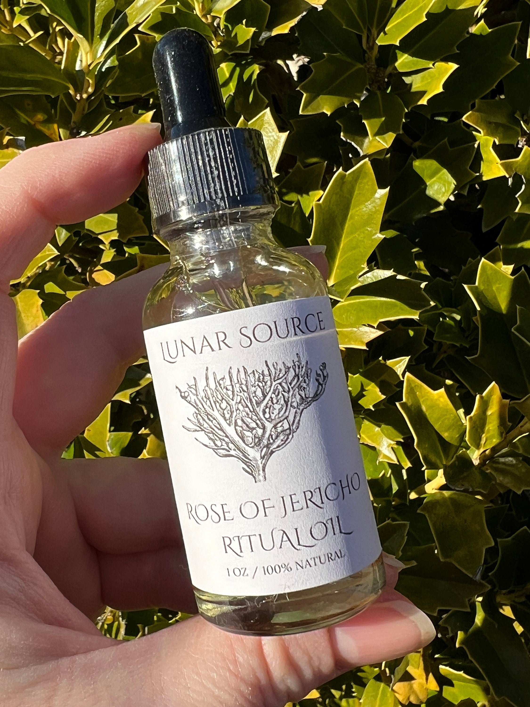 Rose of Jericho Ritual Oil | The Resurrection Plant | Witch Protection Manifestation New Beginnings Lucky Empath Spell Magickal Altar Tool | | Wiccan Center