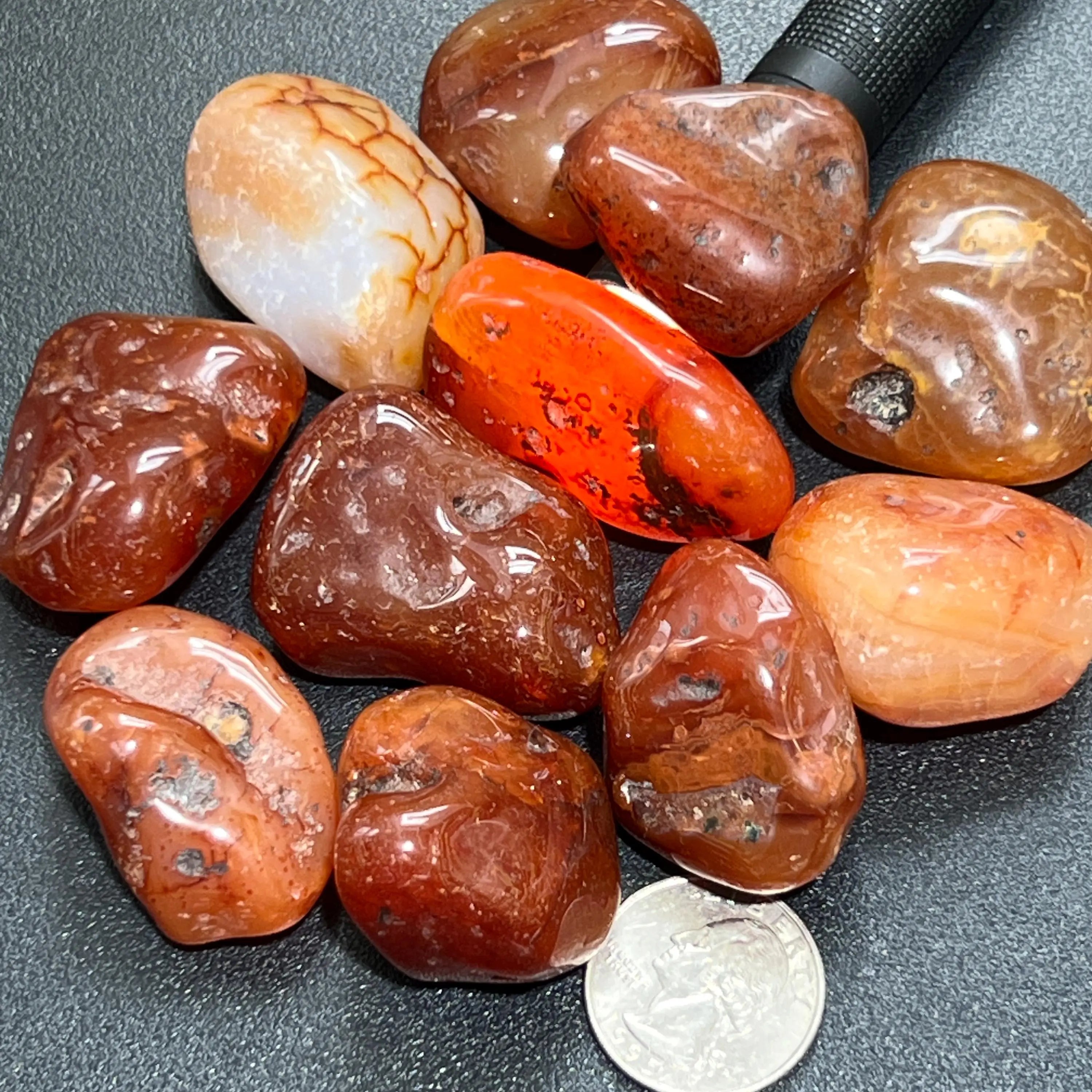 Large Carnelian Red Agate Crystal Tumbled Stones (By The Piece or Pound) | Home & Living > Home Decor > Home Accents > Rocks & Geodes | Wiccan Center