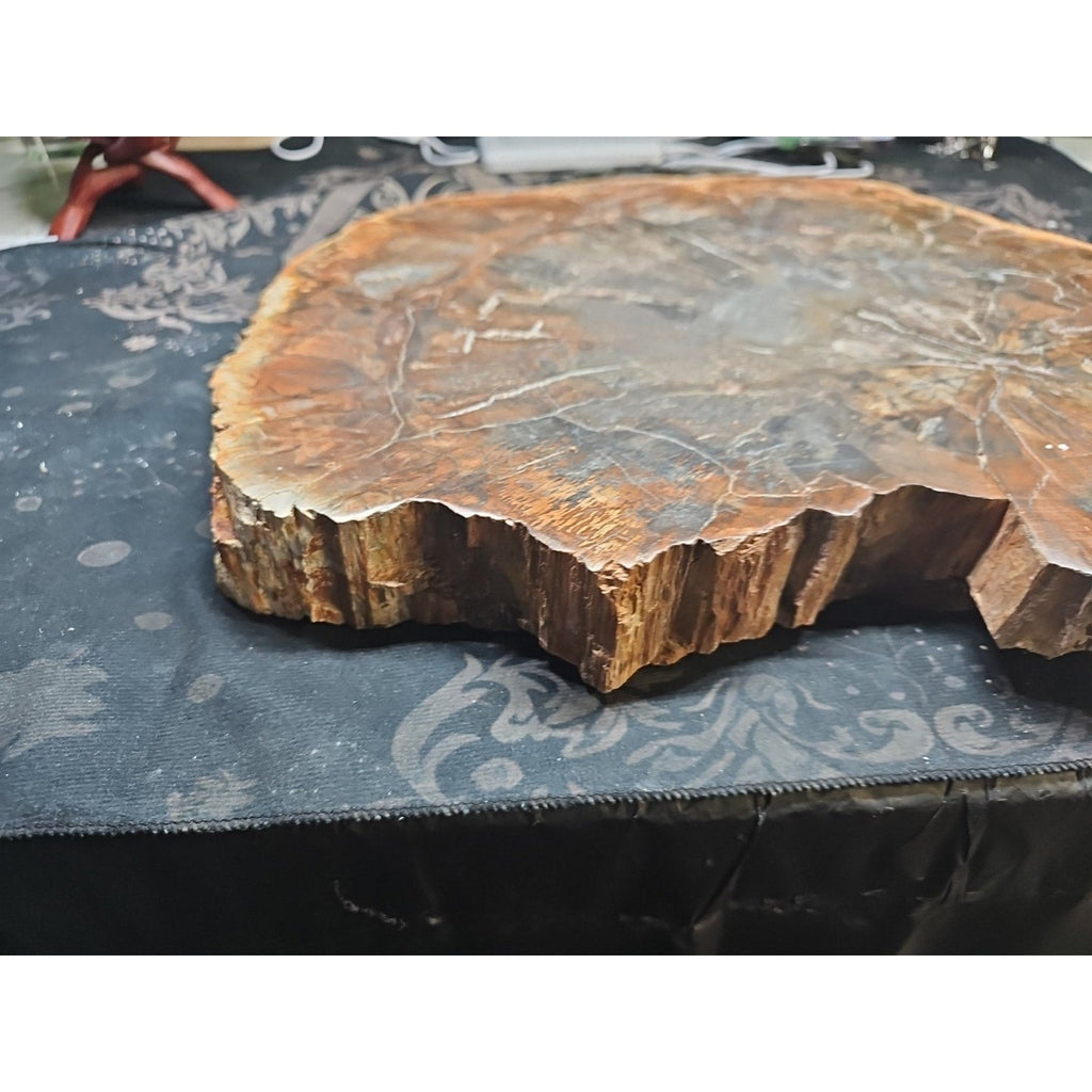 27.3 lb Fossil Wood Quartz Hedgehog Sculpture — Artisan Mineral Statement Piece | CrystalCloud Company