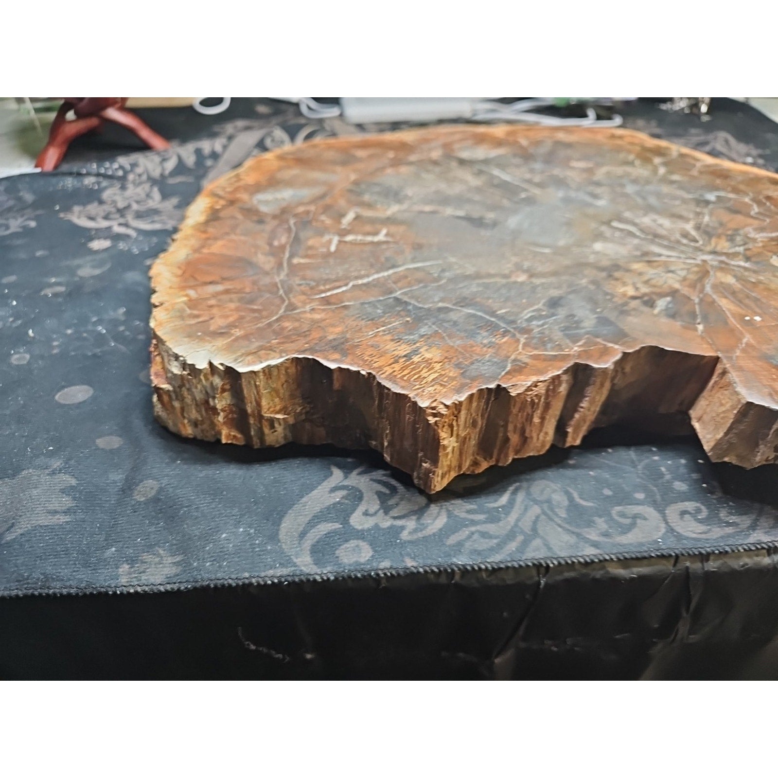 27.3 lb Fossil Wood Quartz Hedgehog Sculpture — Artisan Mineral Statement Piece | CrystalCloud Company
