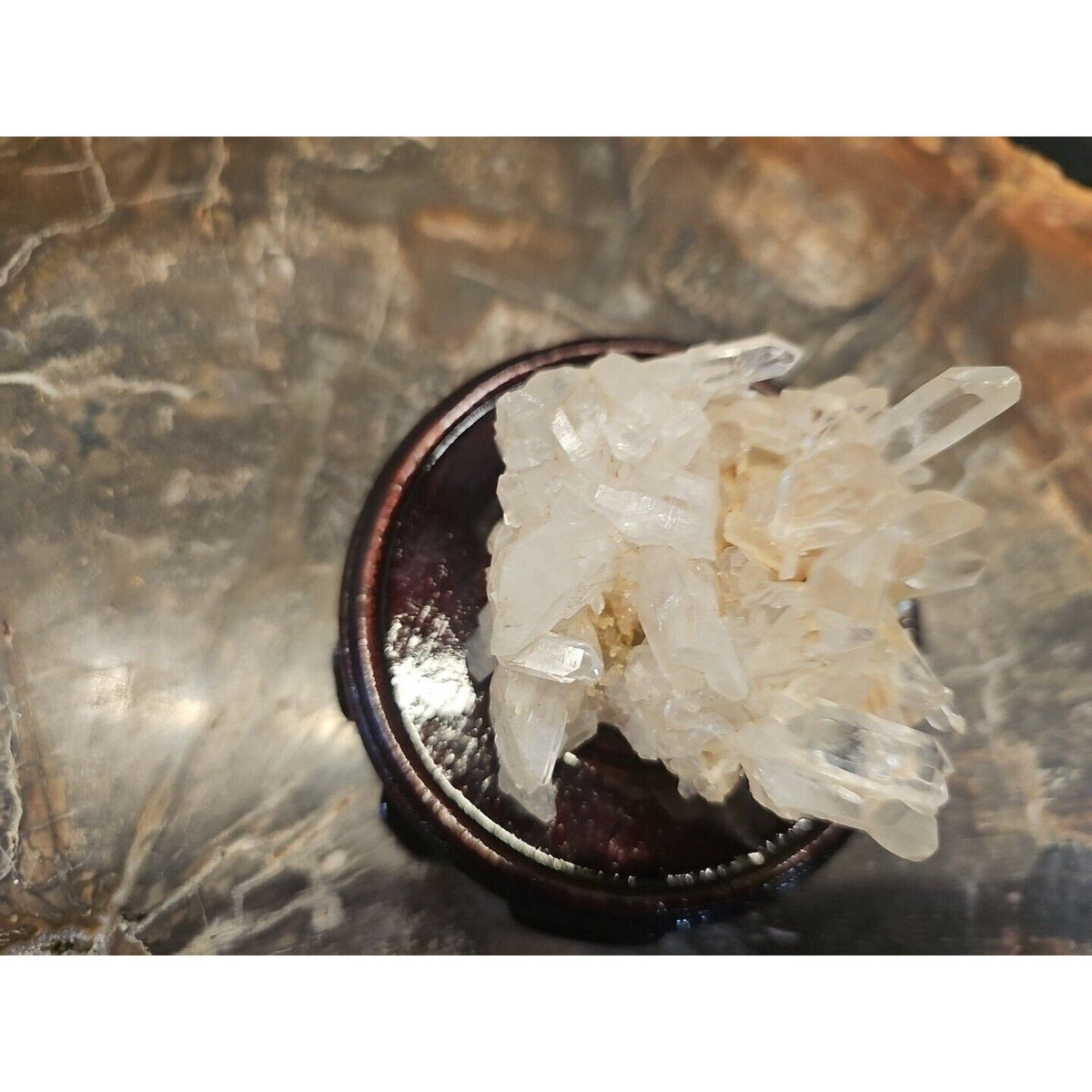 133g Natural Quartz Crystal Cluster with Display Stand - Vitreous Mineral Specimen | CrystalCloud Company | Geodes & Clusters | Wiccan Center