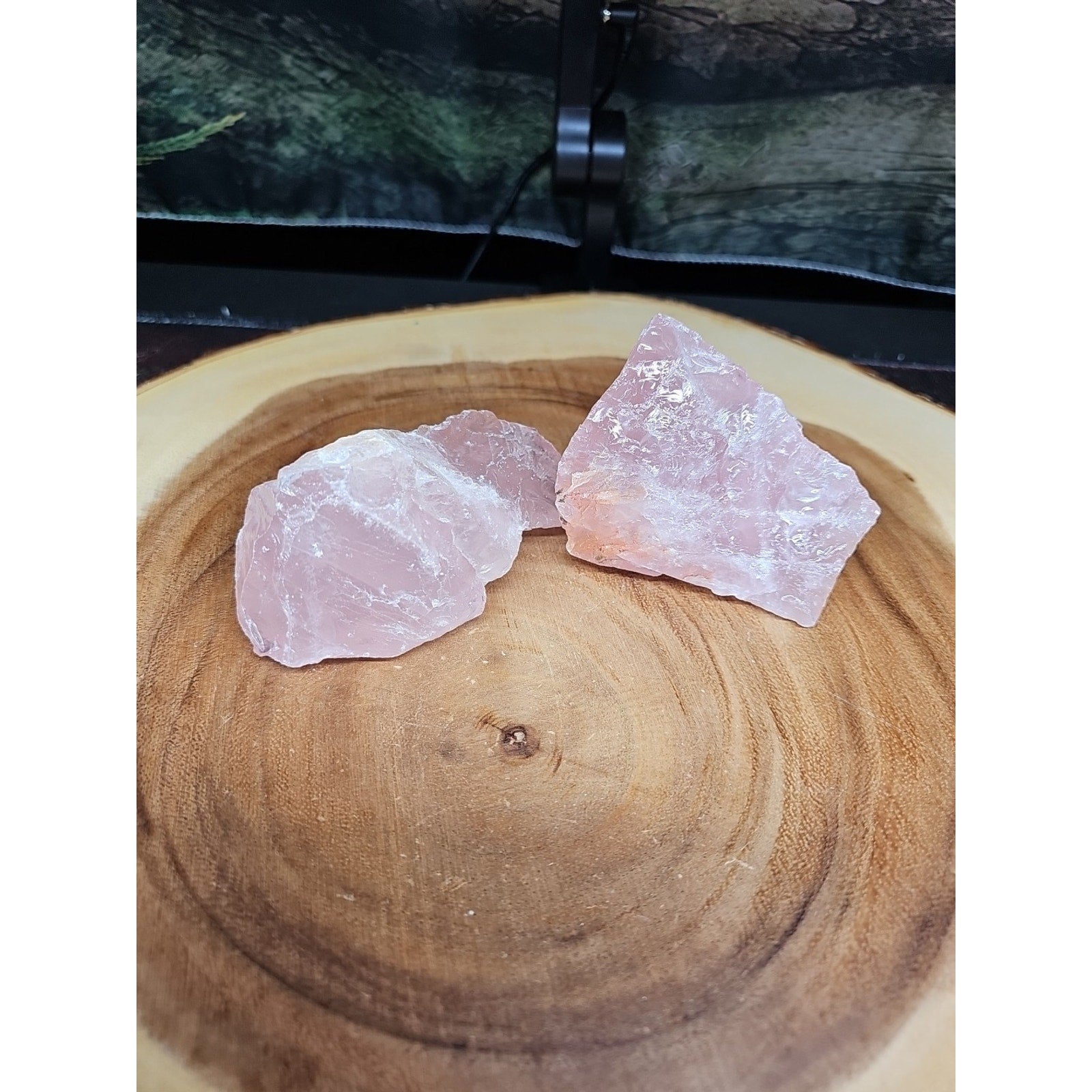 1 Pair Rose Wuartz Raw Chunk 1lb | Mineral Specimens | Wiccan Center