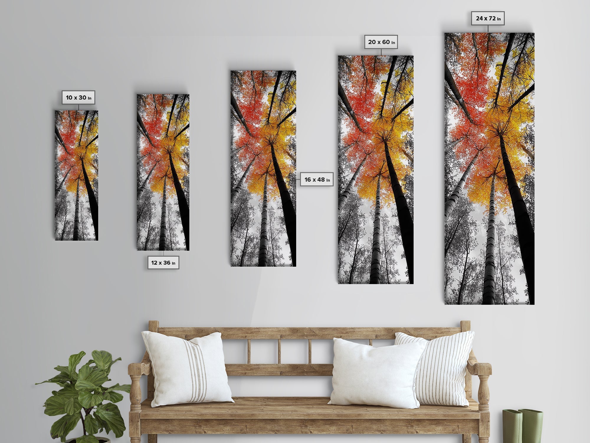 Autumn Trees, Birch Forest, Fall Canopy Print, Nature Photography, Canvas Print, Living Room Decor, Color Pop Wall Art, Forest Magic