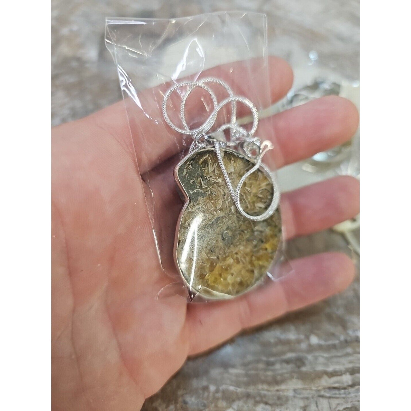 Ammonite Fossil Pendant Necklace — Handmade with 18-inch Silver Chain | CrystalCloud Company