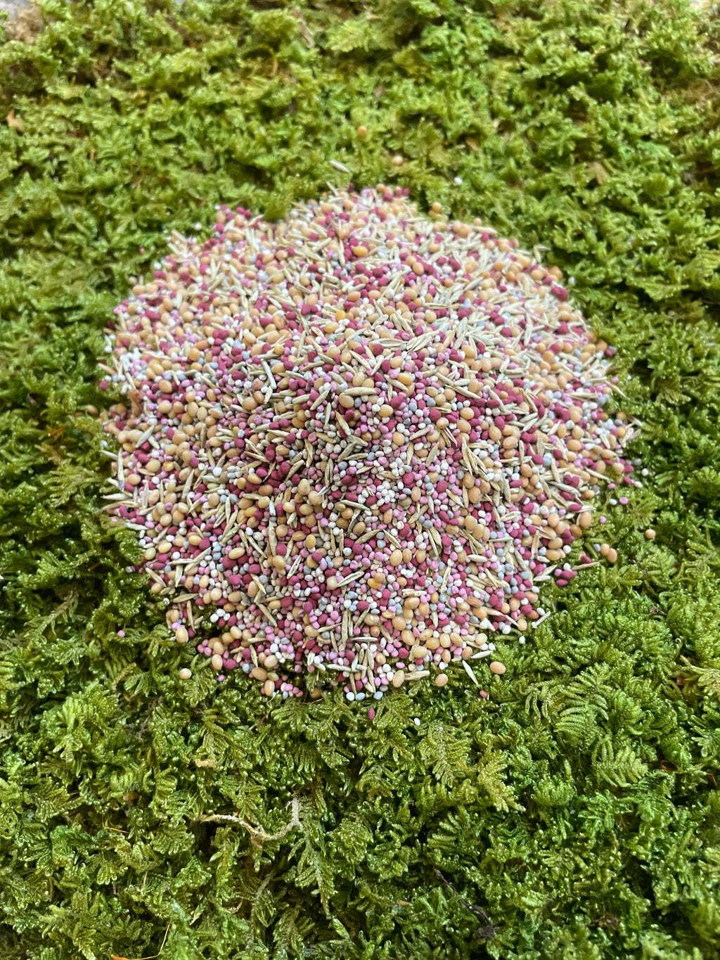 Low Grow™ No-Mow Lawn Mix – Clover & Low-Maintenance Grass Alternative | | Wiccan Center