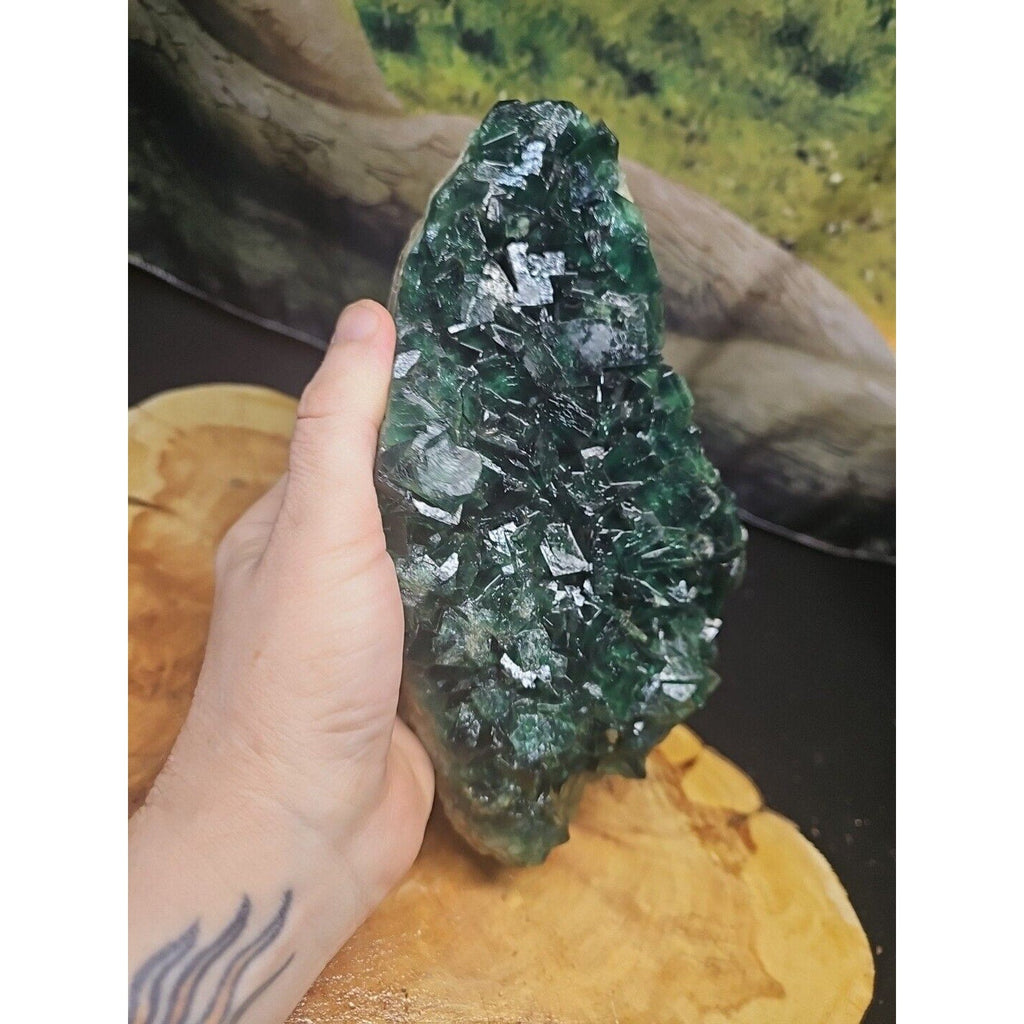 3.2lb NATURAL Green FLUORITE Quartz Crystal Cluster Mineral Specimen | Geodes & Clusters | Wiccan Center