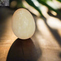 Selenite Egg Crystal - Purification & Positive Energy