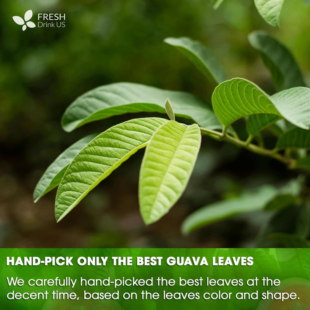 Natural Guava Leaves, Whole Dried Leaves, Cut-and-Sifted Guava leaves, 100% Pure from Guava Leaves, Natural Guava Loose Leaf Herbal Tea, No Additives, No Caffeine, Vegan | Tea | Wiccan Center