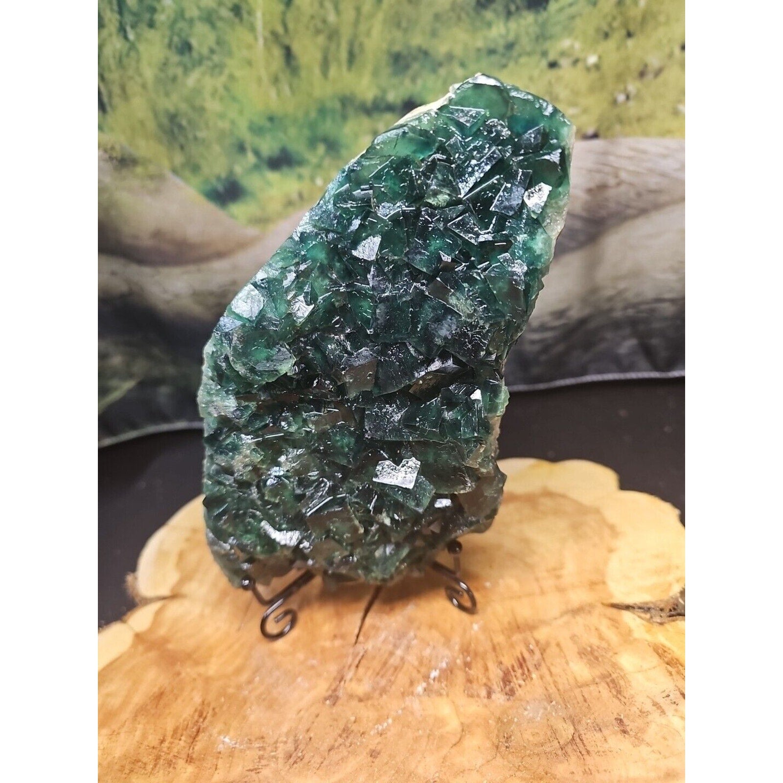3.2lb NATURAL Green FLUORITE Quartz Crystal Cluster Mineral Specimen | Geodes & Clusters | Wiccan Center