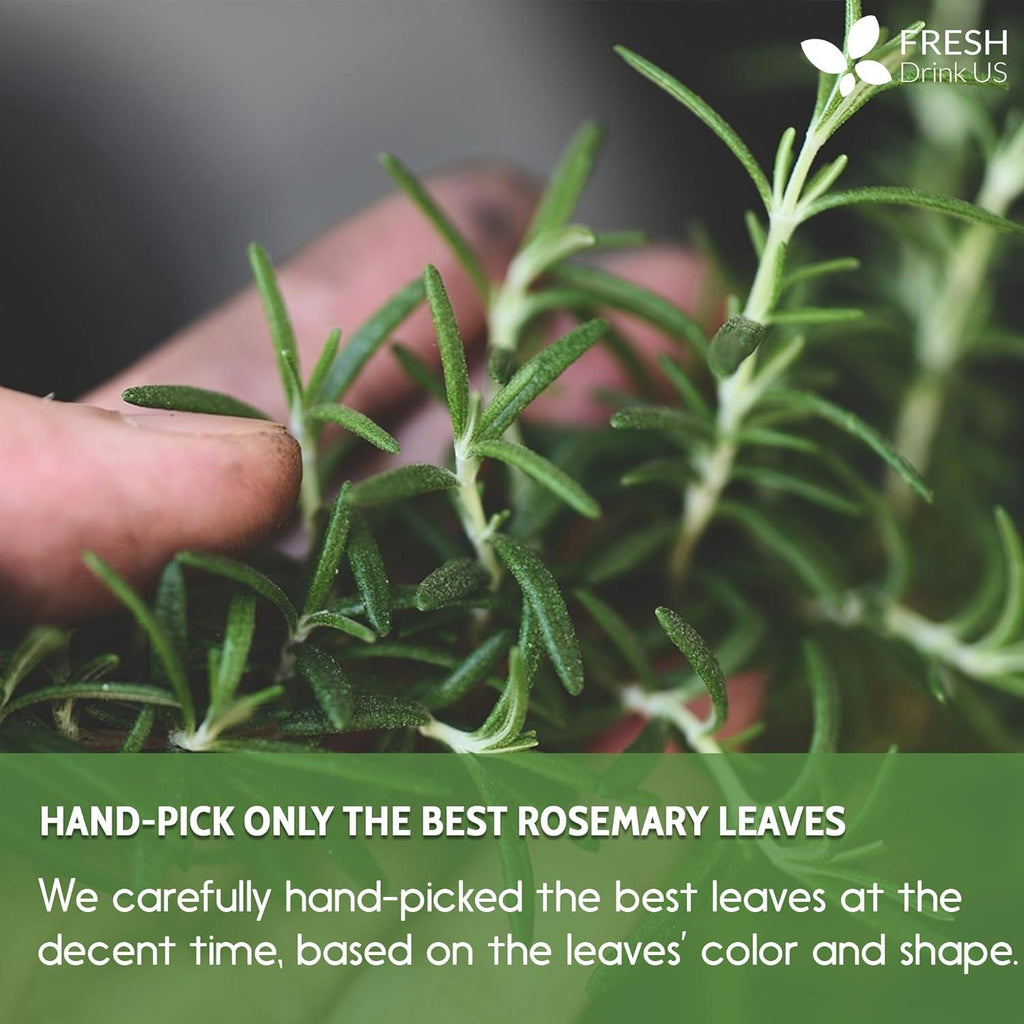 Premium Rosemary Leaves, Tea Bags, Powder, 100% Natural & Pure from Dried Rosemary Leaves, No Additives, No Caffeine, Vegan. Dried Rosemary Herb, Perfect for Seasoning, Spice Blends for Grilling & Cooking | Tea | Wiccan Center