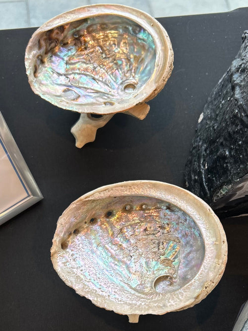 Abalone Shell/Smudging Feather | | Wiccan Center