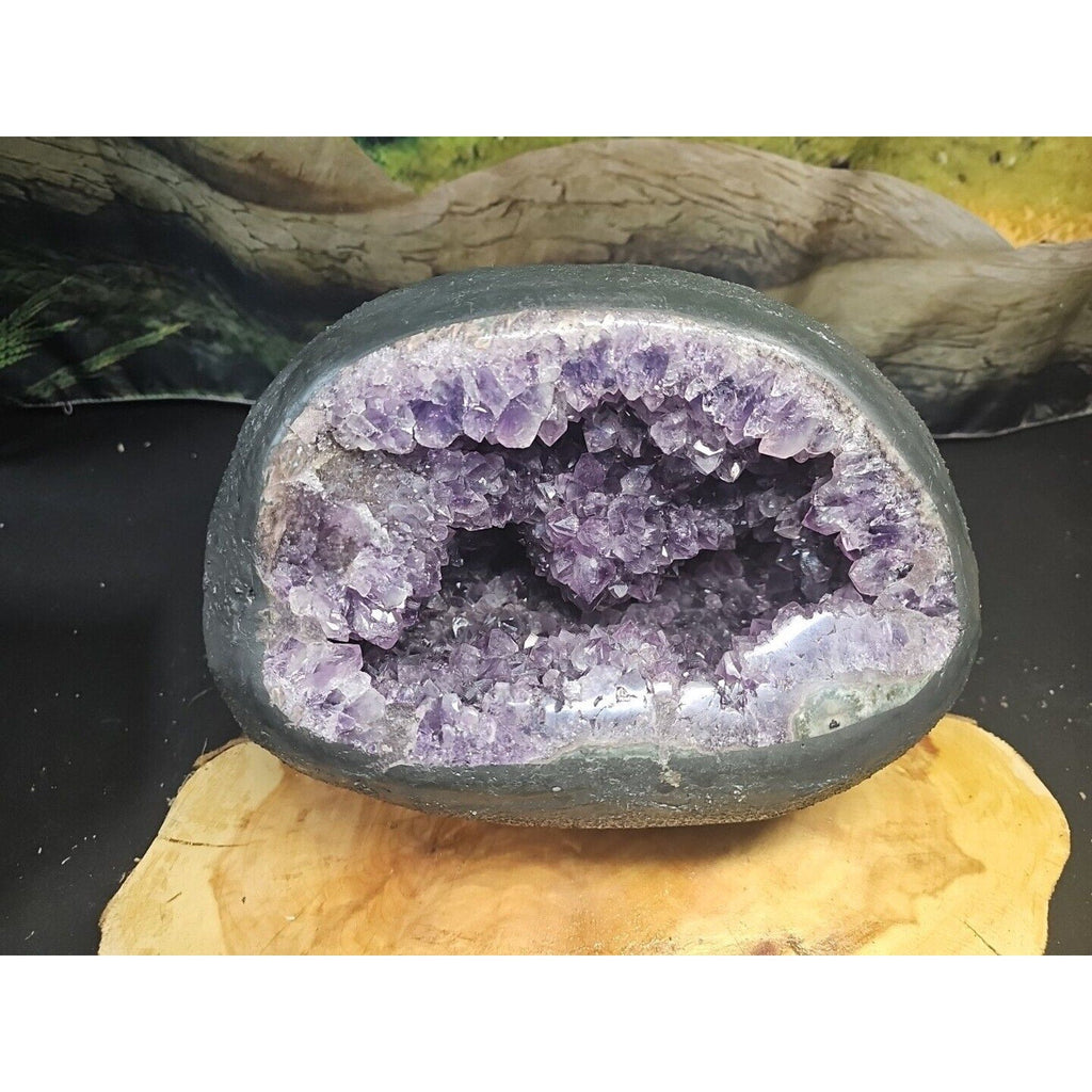 Large Natural Amethyst Geode Quartz Cluster — 21.7 lbs, Calming & Spiritual Healing Crystal | CrystalCloud Company | Geodes & Clusters | Wiccan Center