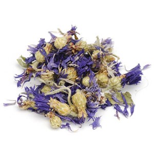 Cornflowers - Whole (1 oz) | Herbs | Wiccan Center