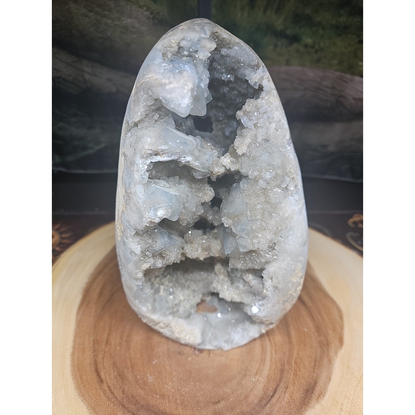 Large Baby Blue Celestite Geode Cluster — 13.6 lbs, 8 inches, Brazil | CrystalCloud Company | Geodes & Clusters | Wiccan Center