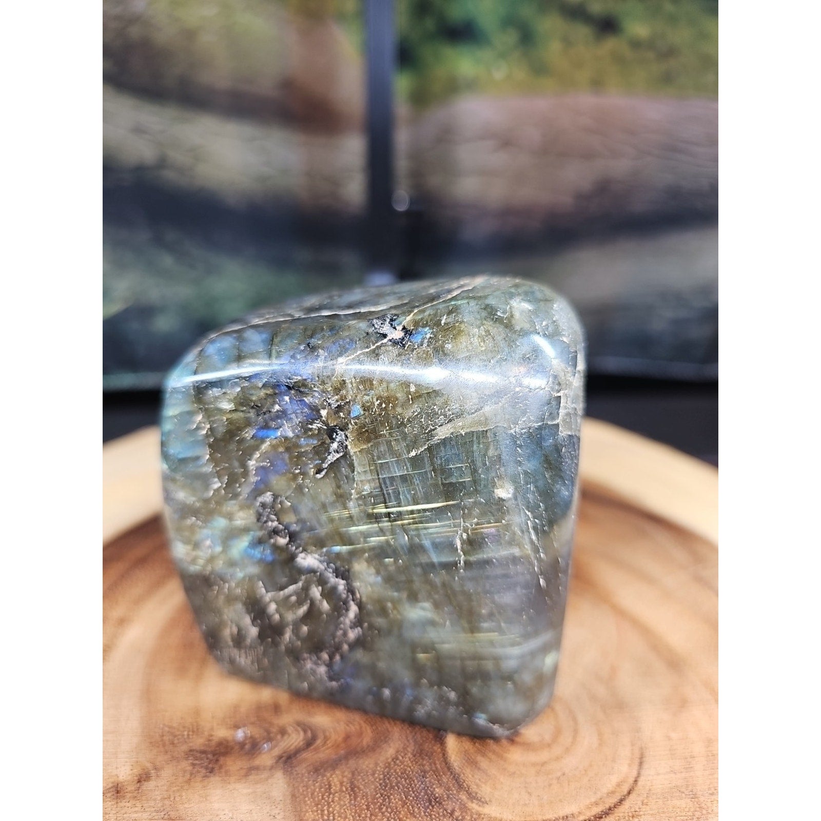 1.60lbs Natural Rainbow Labradorite Crystal Gem Spectrolite Stone | Mineral Specimens | Wiccan Center