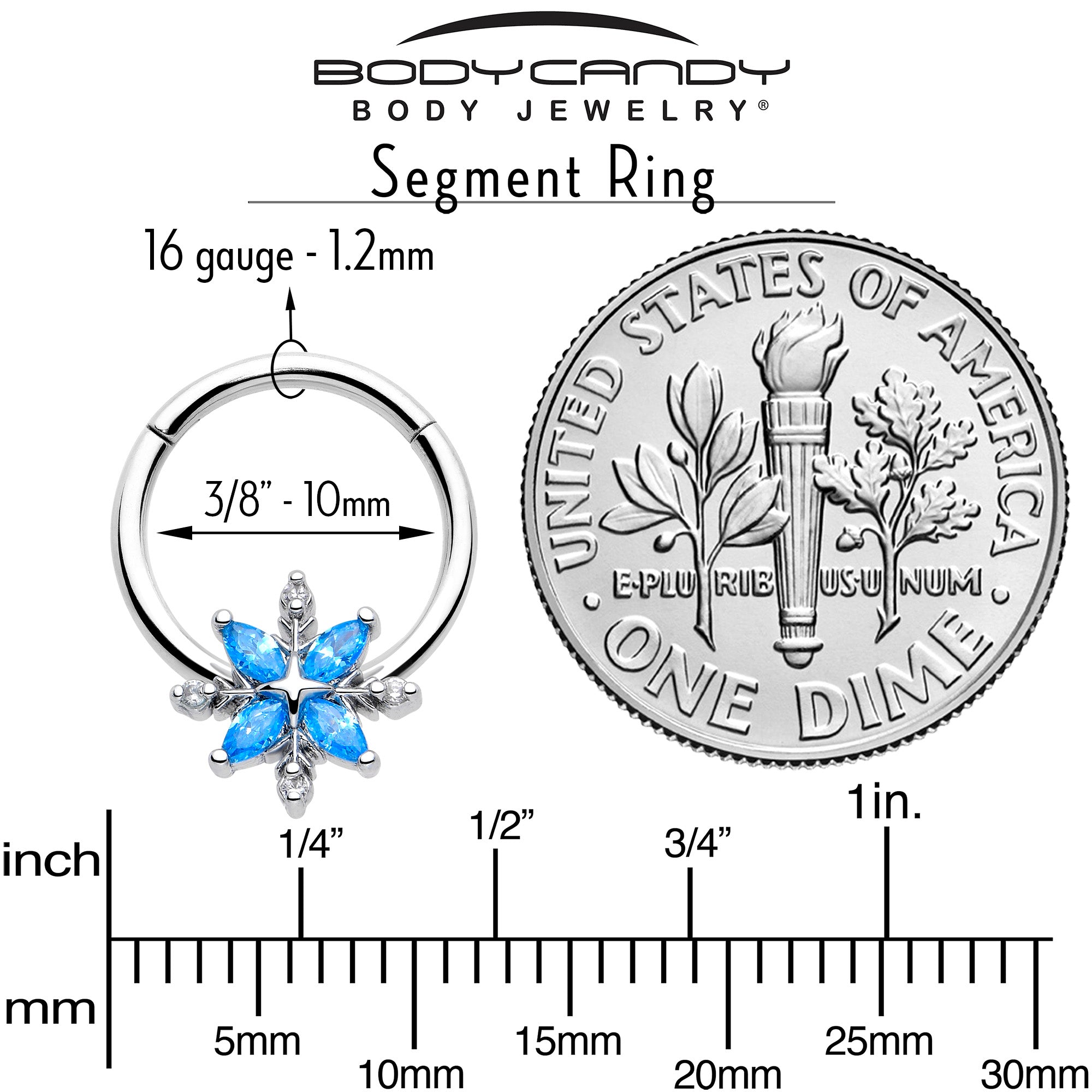 16G 3/8 Blue CZ Gem Classic Flower Hinged Segment Ring | SEGMENT RING | Wiccan Center