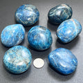 Blue Apatite Large Freeform Palm Stones (2 to 2.5 Inches) Polished Carving Gemstones | Home & Living > Home Decor > Home Accents > Rocks & Geodes | Wiccan Center