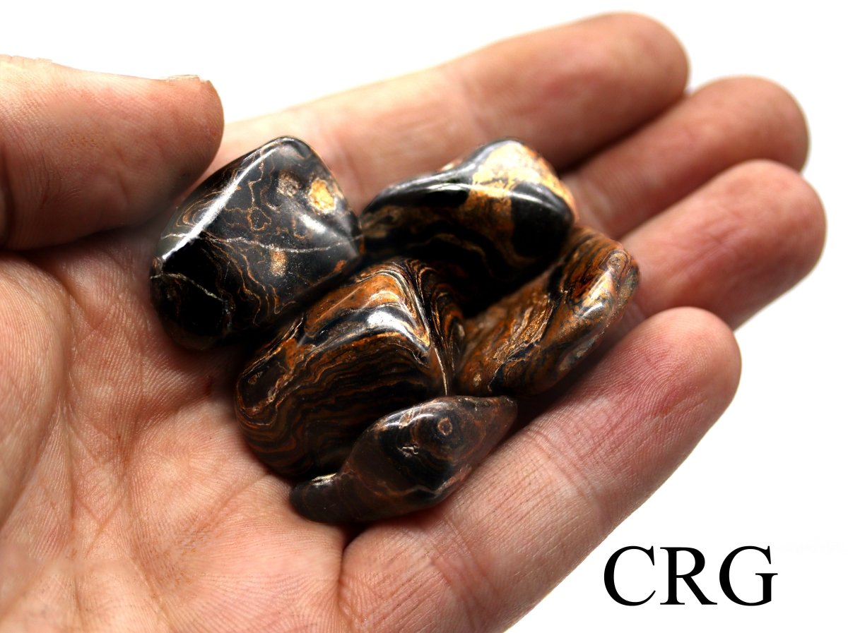 8 OZ. LOT - Peru Stromatolite Tumbled / 20-35 MM AVG