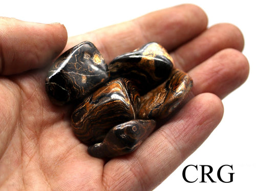 8 OZ. LOT - Peru Stromatolite Tumbled / 20-35 MM AVG | Stromatolite | Wiccan Center