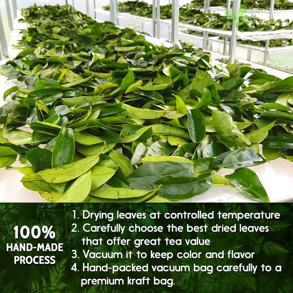 40 Premium Soursop Graviola Leaf Tea Bags, 100% Natural and Pure from Soursop Leaves, Handmade, Made With Natural Materials-Corn Fiber Tea Bag, Sugar/Caffeine/Gluten Free, Hoja Guanabana Tea | Tea | Wiccan Center
