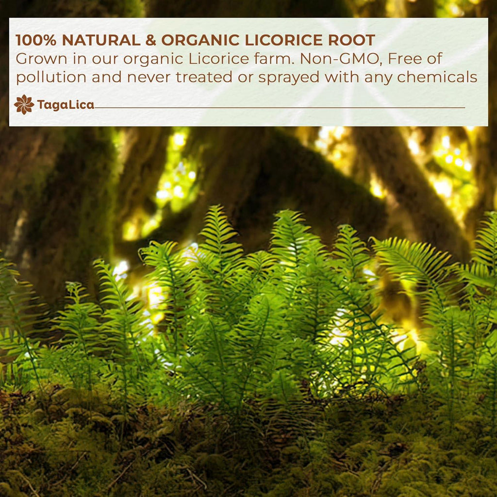 Premium Licorice Root Tea Bags, 100% Natural, Pure Licorice Root, Eco-Conscious Tea Bags, Licorice Root Herbal Tea, Licorice Root Tea. No Sugar, No Caffeine, No Gluten, Vegan | Tea | Wiccan Center