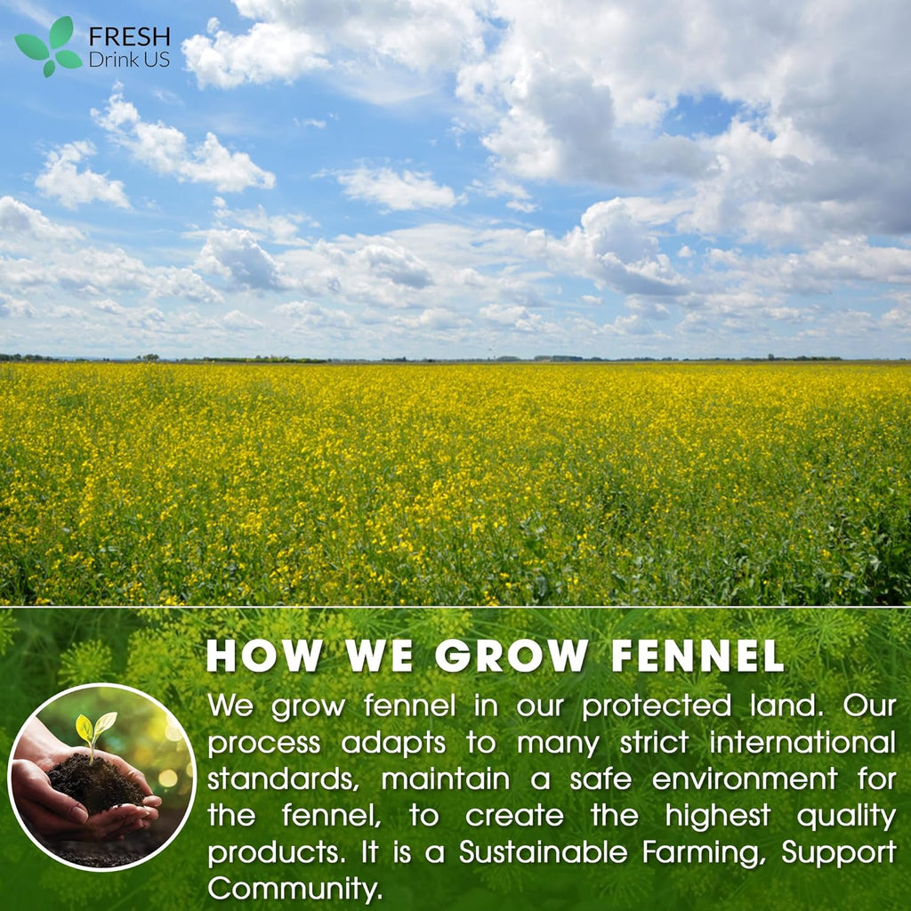 Premium Fennel Tea Bags, 100% Natural & Pure from Fennel Seeds. Fennel Seed Herbal Tea. Fennel Seed Tea. Made with Natural Material Tea Bags. No Sugar, No Caffeine, No Gluten, Vegan. | Tea | Wiccan Center