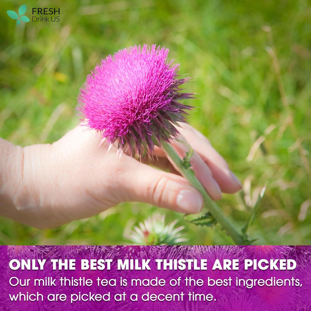 Premium Milk Thistle Tea Bags, 100% Natural & Pure from Milk Thistle Seeds. Milk Thistle Seed Herbal Tea. Milk Thistle Seed Tea. Made with Natural Material Tea Bags. No Sugar, No Caffeine, No Gluten, Vegan. | Tea | Wiccan Center