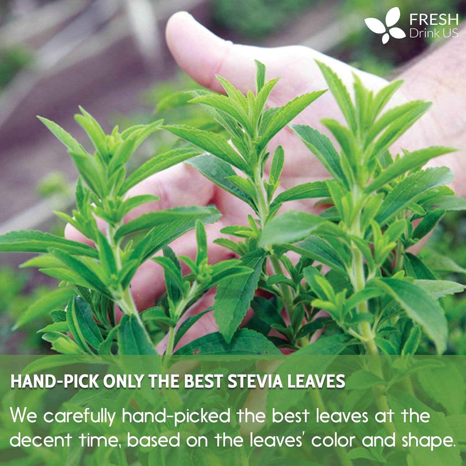 Stevia Leaf, Whole Dried Leaves, Tea Bags, Powder, 100% Natural and Pure from Stevia Leaves. Sugar Substitute for Tea, Coffee. Loose Leaf Stevia Herbal Tea. Zero Calorie Sweetener. No Sugar, No Caffeine, No Gluten, Vegan. | Tea | Wiccan Center