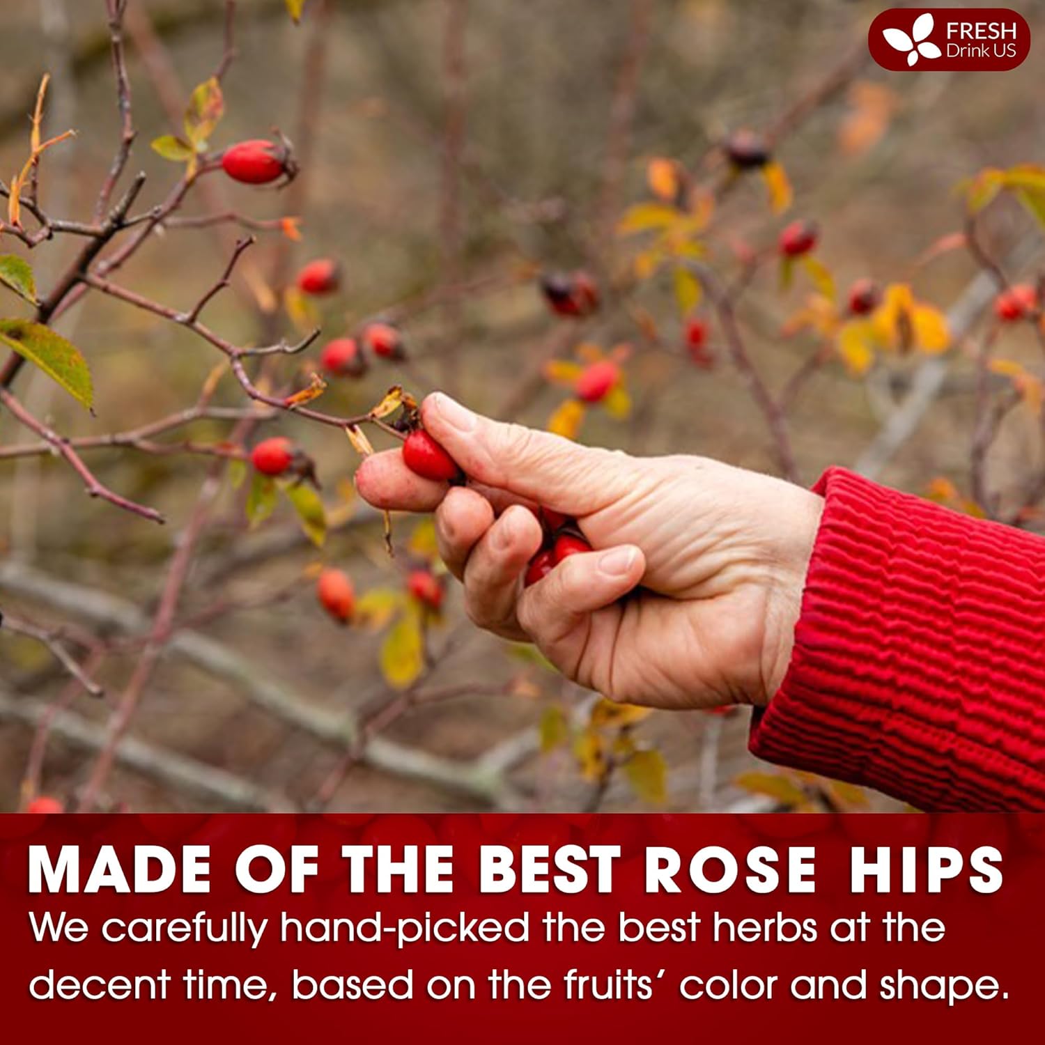 Premium Rosehip Tea Bags, 100% Natural & Pure from Rose Hip Fruits. | Tea | Wiccan Center