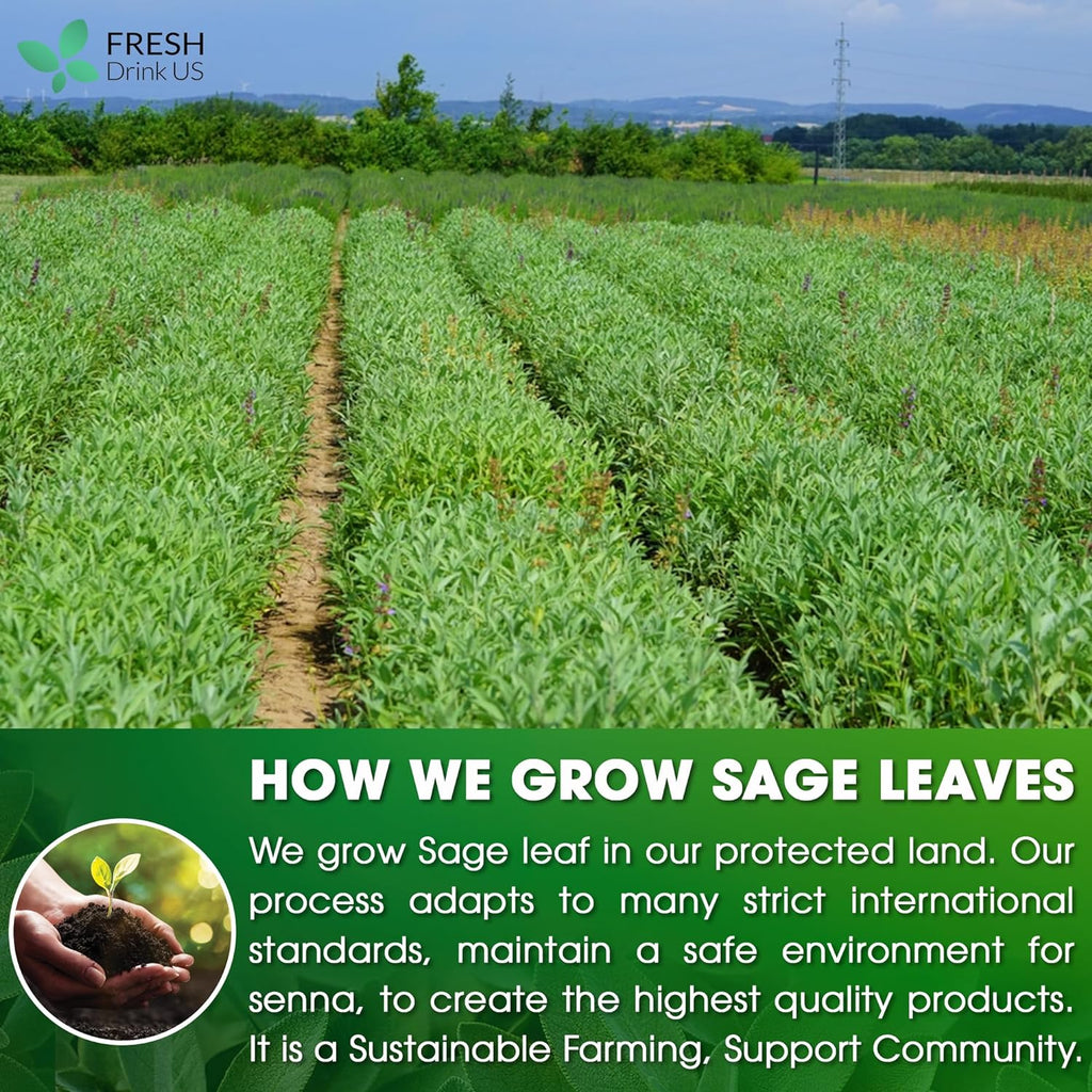 Sage Leaf Tea Bags, 100% Natural & Pure from Sage Leaves. Loose Leaf Sage Herbal Tea. Sage Leaf Tea. Made with Natural Material Tea Bags. No Sugar, No Caffeine, No Gluten, Vegan. | Tea | Wiccan Center