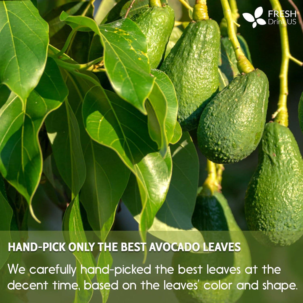 Natural Avocado Whole Leaves Dried, Tea Bags, 100% Pure from Avocado Leaves, Avocado Leaf Tea, Hojas de Aguacate Seca, No Additives, No Caffeine, Vegan | Tea | Wiccan Center