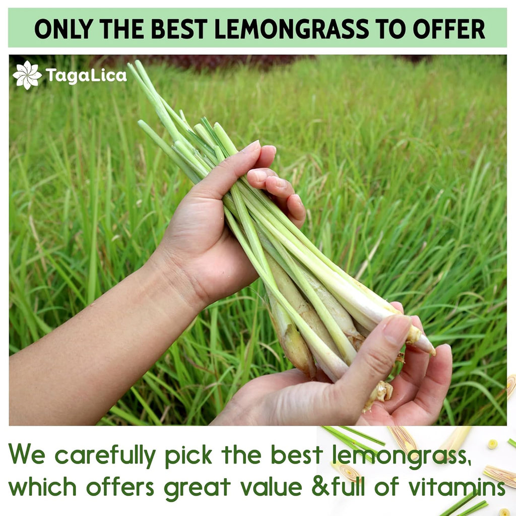 Lemongrass Tea Bags, 100% Natural & Pure Lemongrass leaves, Eco-Conscious Tea Bags, Lemongrass Herbal Tea. Lemongrass Leaf Tea. No Sugar, No Caffeine, No Gluten, Vegan. | Tea | Wiccan Center