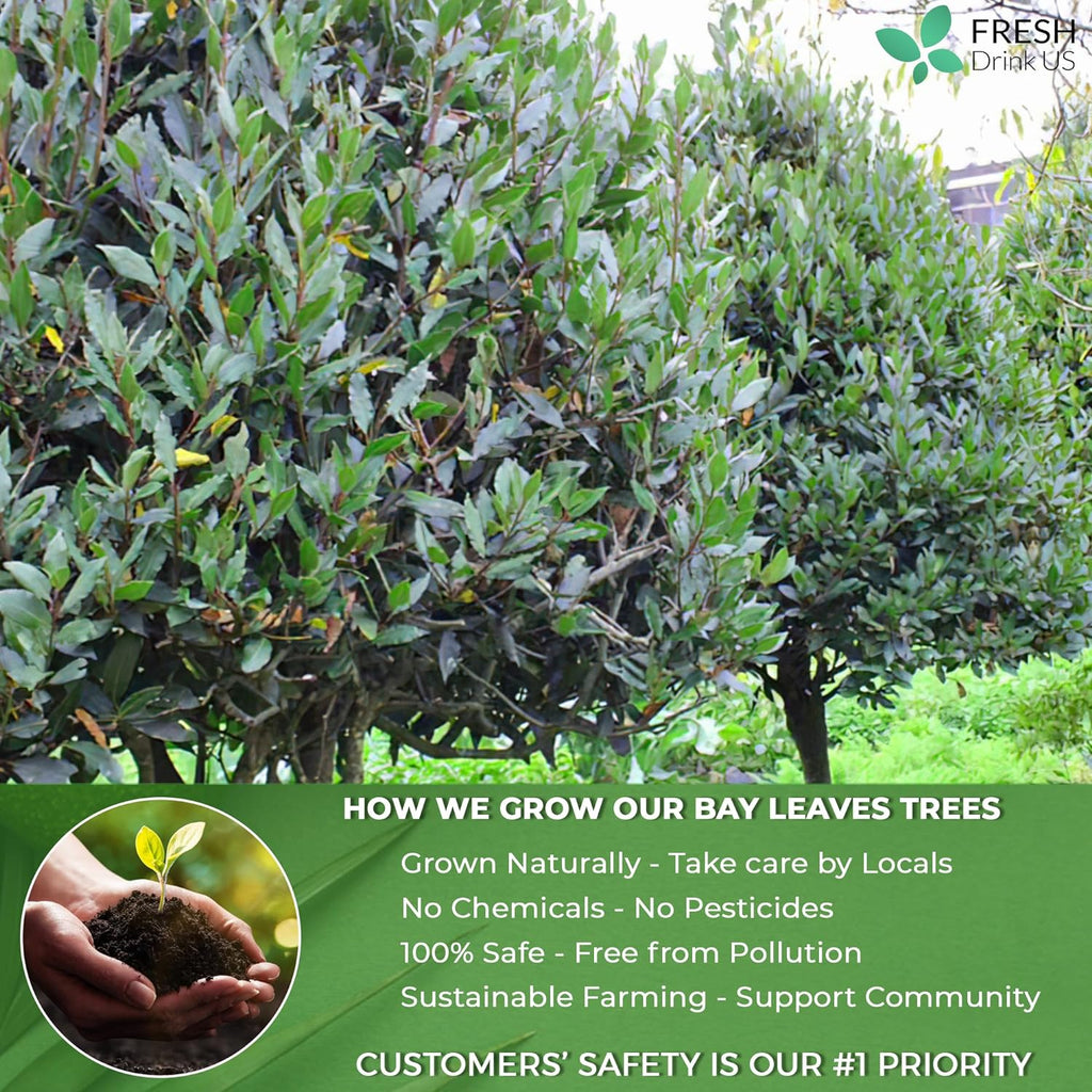 Premium Dried Bay Leaves, Tea Bags, Powder, Bay Leaves Spice, Whole Nice Leaves, Wildcrafted, Fresh Harvested, Bay Leaves For Cooking, Sugar-Free, Gluten Free, Caffeine Free, Vegan | Tea | Wiccan Center