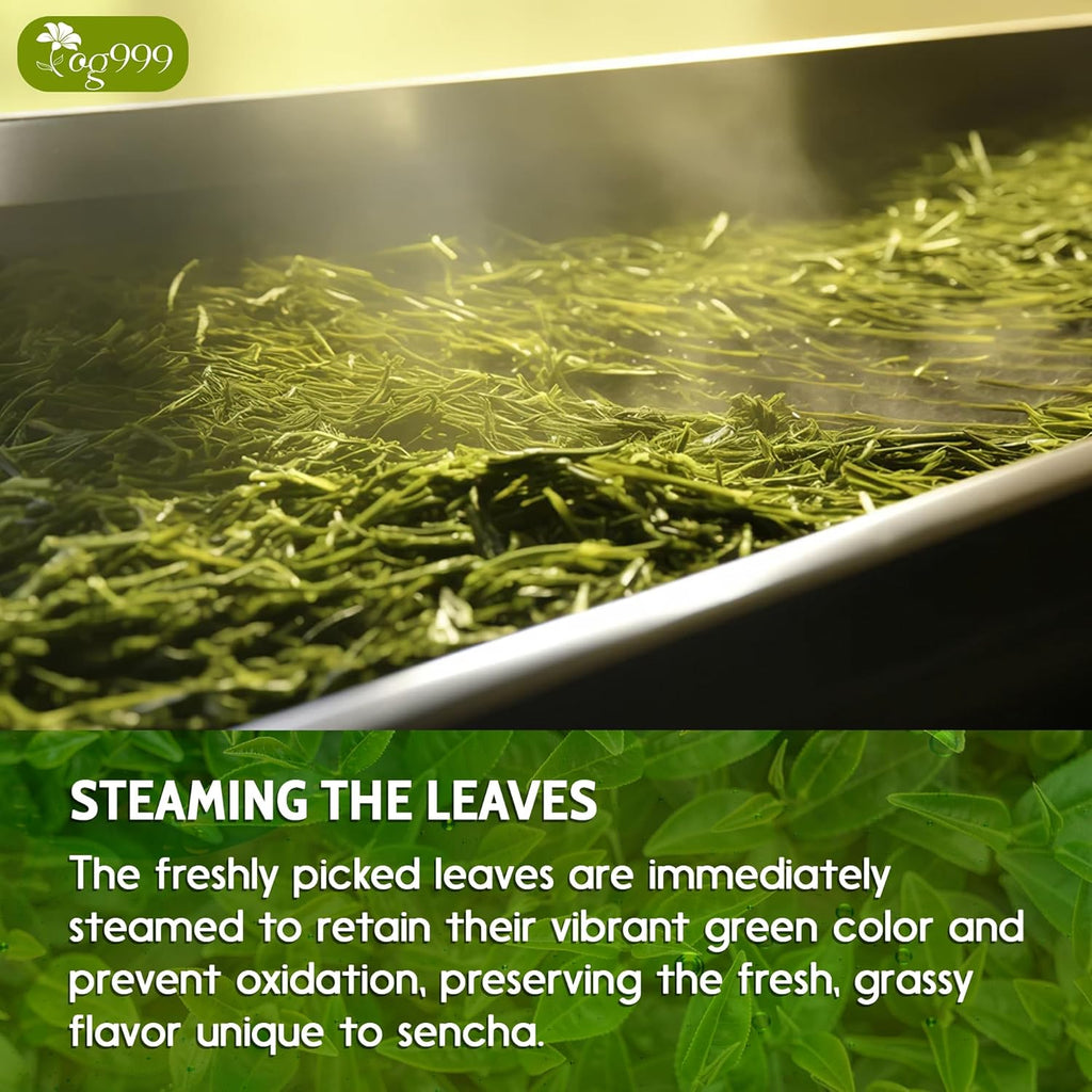 Premium Sencha Green Tea Bags, 100% Natural & Pure from Sencha Green Tea Leaves | Tea | Wiccan Center