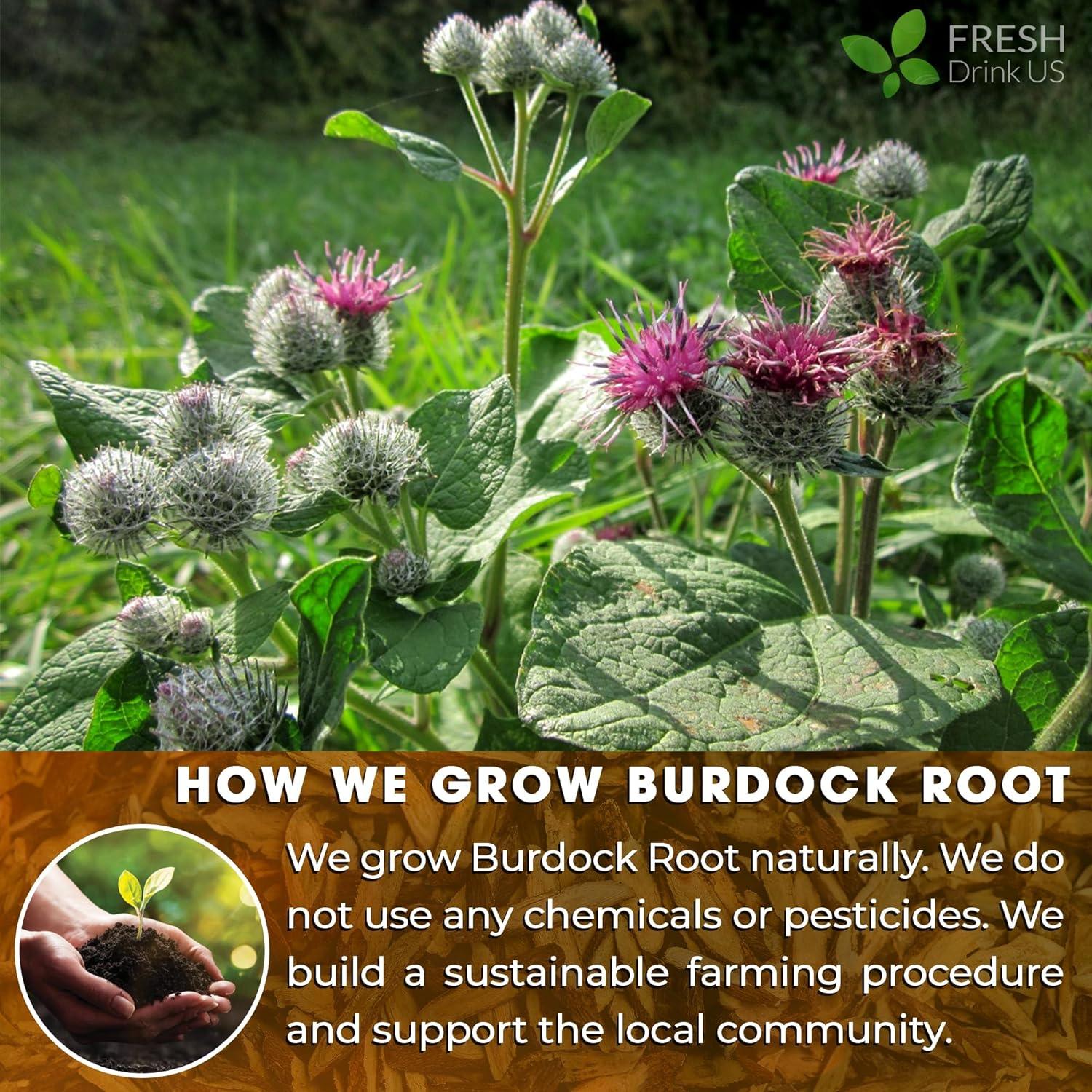 Burdock Root Powder, Burdock Root Extract, 100% Natural & Pure from Burdock Root, Burdock Root Herbal Tea, No Additives, No Caffeine, Vegan | Tea | Wiccan Center