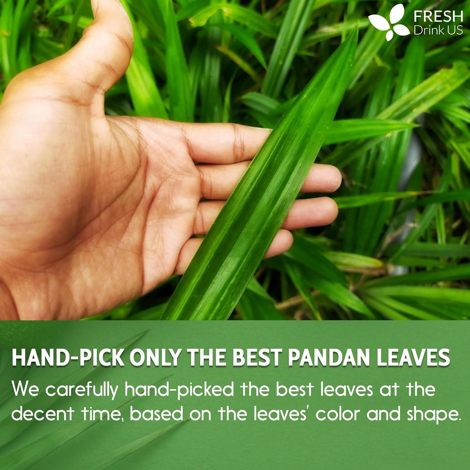 Natural Pandan Leaves Dried, Pandan Leaf Powder, 100% Pure Dried Pandan Leaves, Pandan Leaf Tea, No Additives, No Caffeine, Vegan | Tea | Wiccan Center