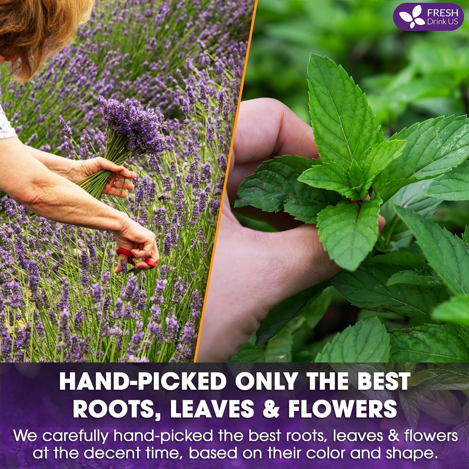 Premium Lavender Mint Tea Bags. 100% Natural, Blend of Lavender, Peppermint, Sage and Licorice. | Tea | Wiccan Center