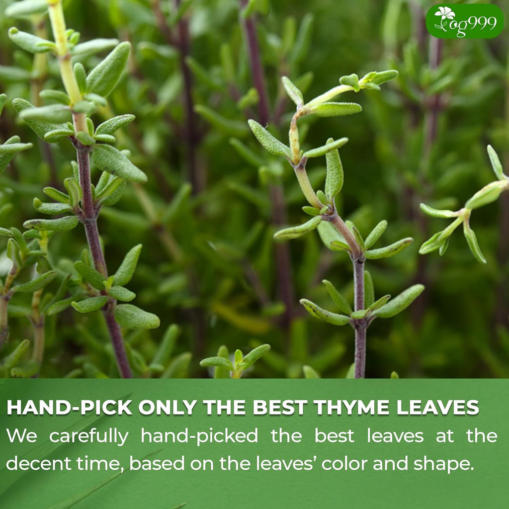 Premium 40 Thyme Leaf Tea Bags, 100% Natural & Pure, Loose Leaf Herbal Tea. | Tea | Wiccan Center