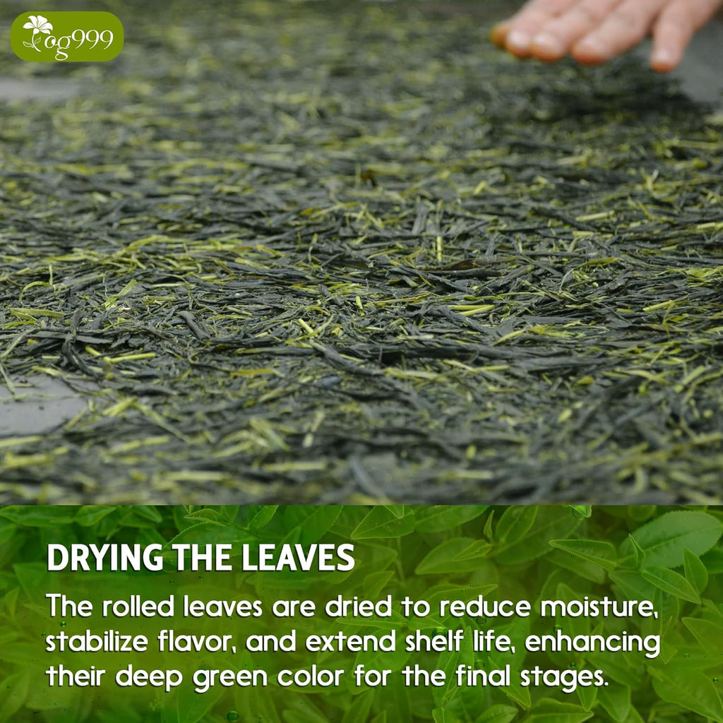 Premium Sencha Green Tea Bags, 100% Natural & Pure from Sencha Green Tea Leaves | Tea | Wiccan Center