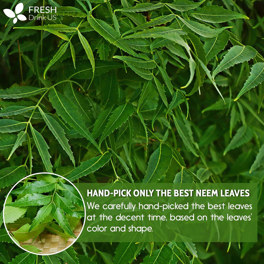 Neem Leaf Tea Bags, 100% Natural and Pure from Neem Leaves. Loose Leaf Neem Herbal Tea. Neem Leaf Tea. No Sugar, No Caffeine, No Gluten, Vegan. | Tea | Wiccan Center