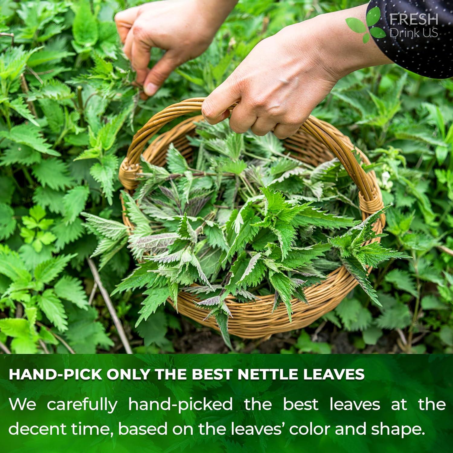 Premium Nettle Leaf Tea Bags, 100% Natural & Pure, Stinging Nettle Leaf Tea, Nettle Leaf Tea, Burn Nettle, Stinging Nettle, Nettle Tea, Stinger Tea, No Sugar/Caffeine & Gluten, Vegan | Tea | Wiccan Center