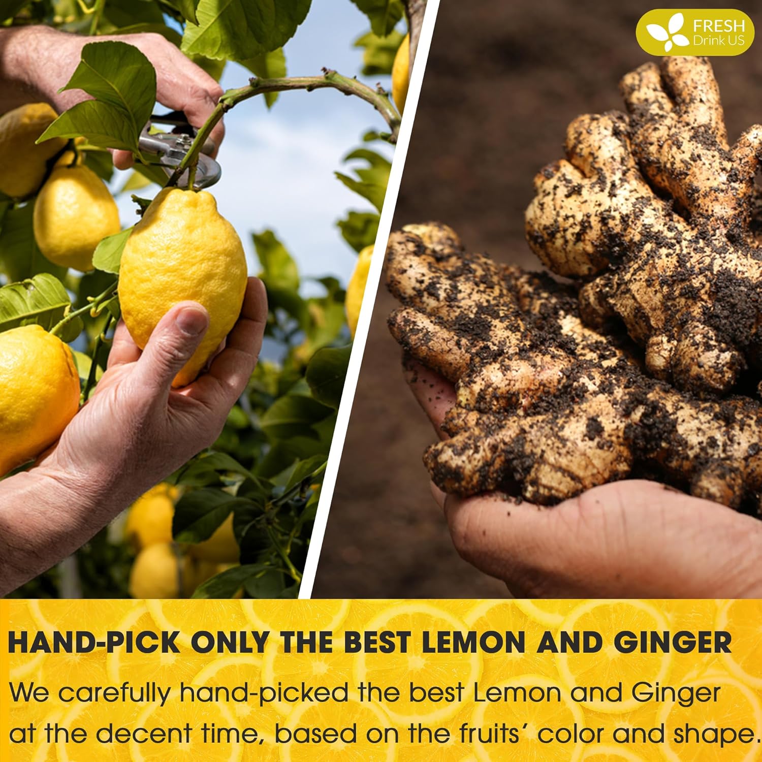 Premium Lemon Ginger Tea Bag, Eco-conscious Tea Bags. Lemon Ginger Herbal Tea. No Sugar, No Caffeine, No Gluten, Vegan. | Tea | Wiccan Center