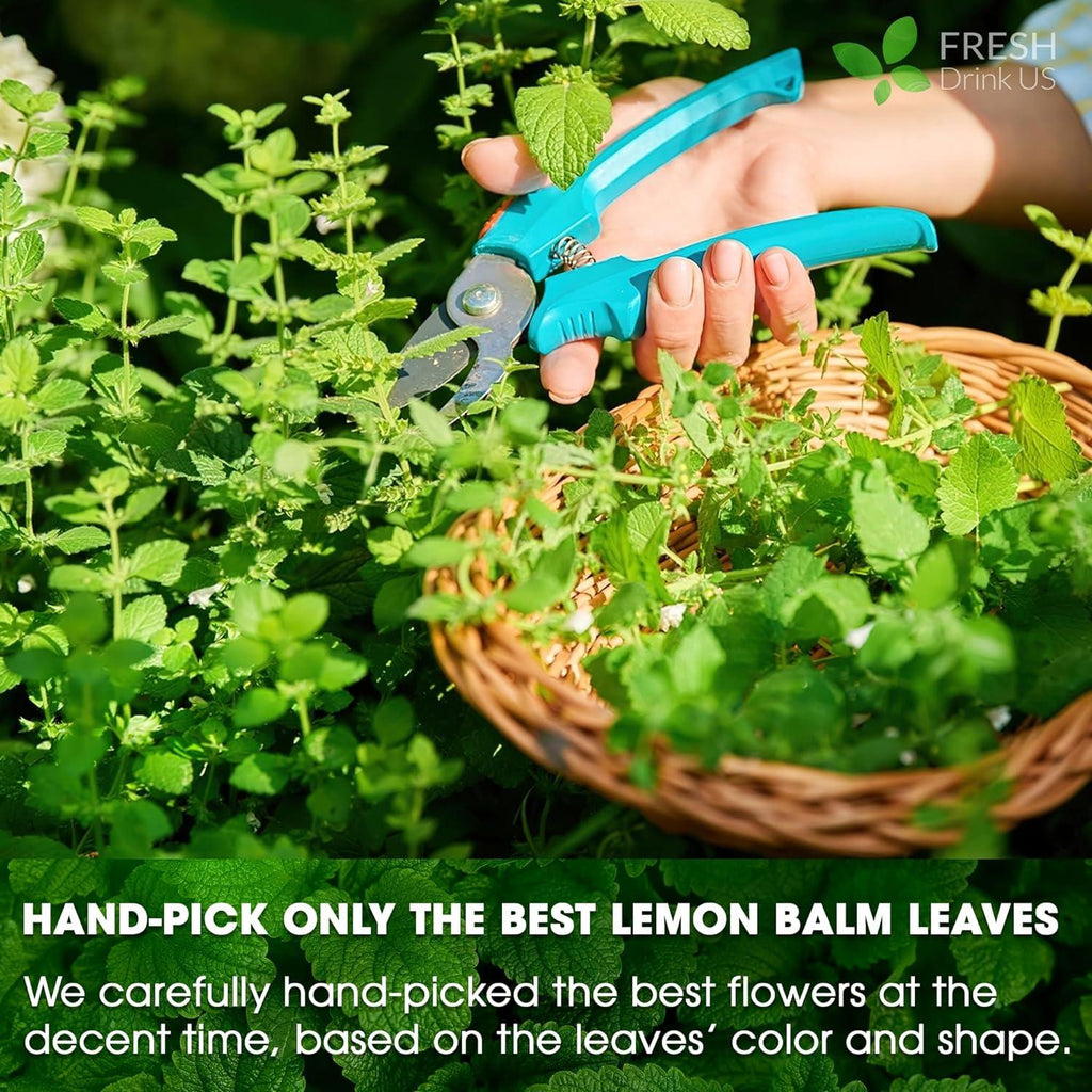 Premium Lemon Balm Leaf Tea Bags, 100% Natural & Pure from Lemon Balm Leaves. Loose Leaf Lemon Balm Herbal Tea. Lemon Balm Leaf Tea. No Sugar, No Caffeine, No Gluten, Vegan. | Tea | Wiccan Center