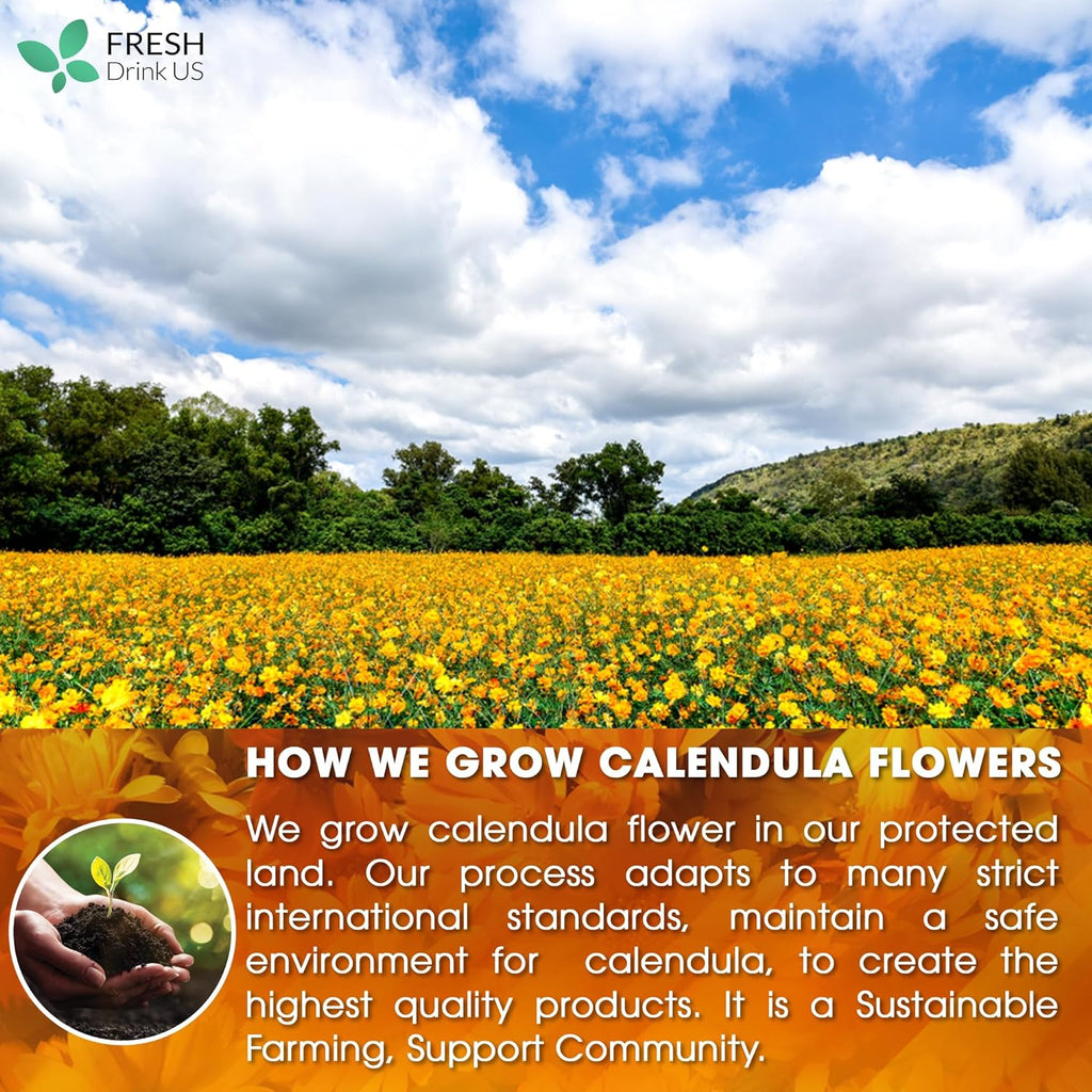 Calendula Tea Bags, 100% Natural and Pure Calendula Flowers, Eco-conscious Tea Bags. Calendula Flower Herbal Tea. No Sugar, No Caffeine, No Gluten, Vegan. | Tea | Wiccan Center