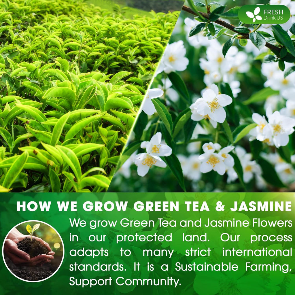 Premium Jasmine Green Tea Bags. Jasmine Green Herbal Tea. Made with Natural Material Tea Bags. No Sugar, No Gluten, Vegan. | Tea | Wiccan Center